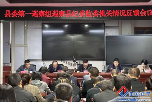 十六屆正寧縣委第七輪巡察完成反饋